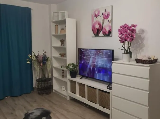 Apartmento com 1 dormitório